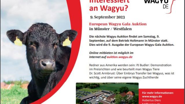Angebote: - European Wagyu Gala Auktion / 09.09.2023 - Wagyu - Münster