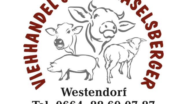 Angebote: - Verkaufe laufend Milchvieh aller Rassen aus Tirol und Salzburg Zuchbetrieben - Fleckvieh - Westendorf